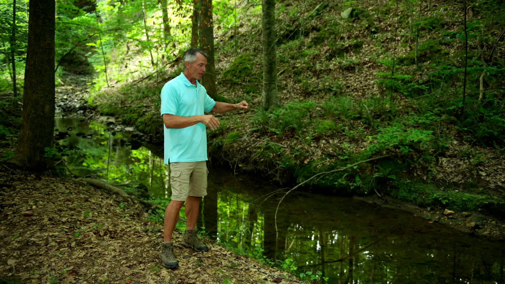Rain it in: Creek friendly landscaping